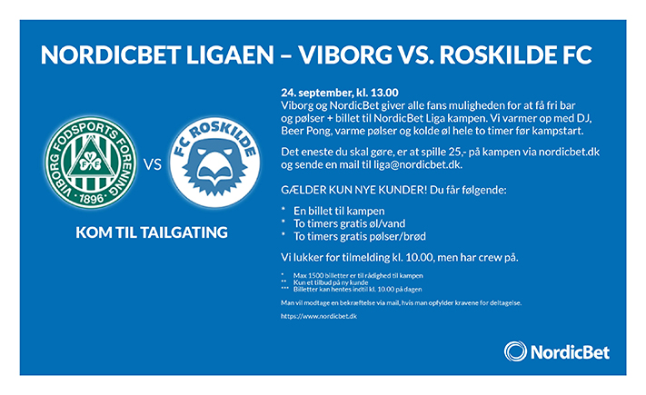 Viborg Roskilde small