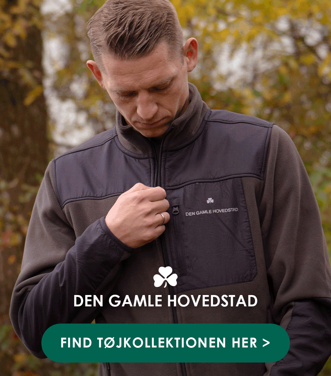 DGH-efteraar