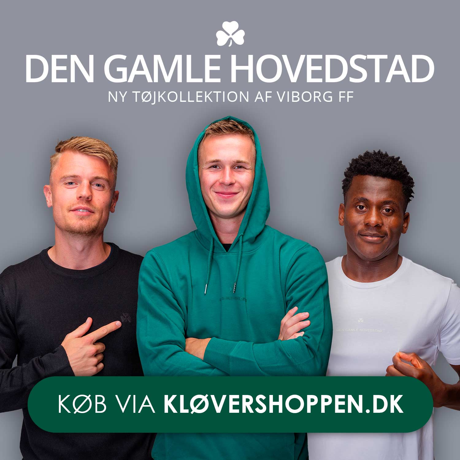 DGH kollektion